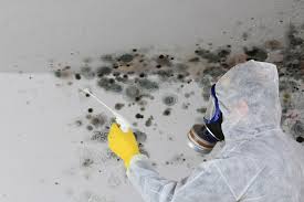 Mold Documentation for Insurance Claims in Gladewater, TX